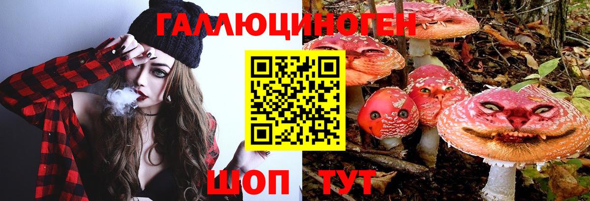 Галлюциногенные грибы GOLDEN TEACHER  Вход с VPN  Усинск 
